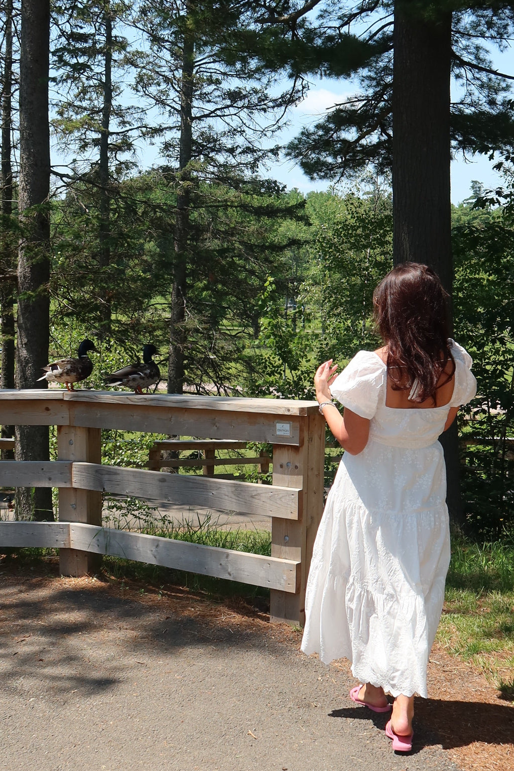 A woman in a white dress stands on a path in a wooded outdoor setting, looking toward trees and a wooden fence.