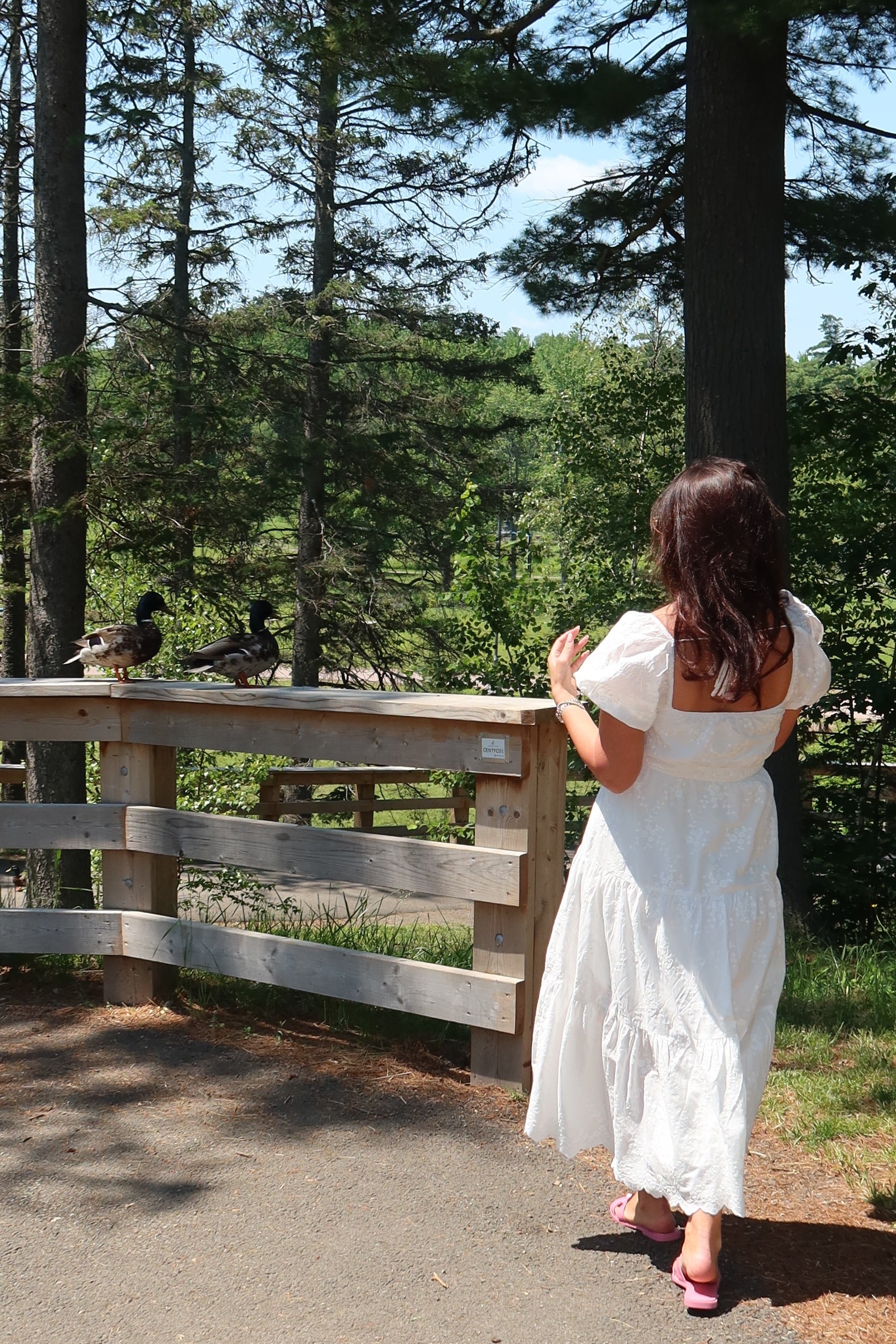 A woman in a white dress stands on a path in a wooded outdoor setting, looking toward trees and a wooden fence.